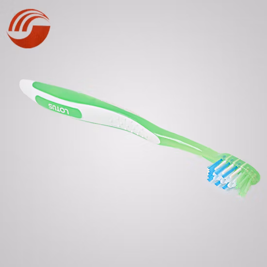 Free Sample Nylon Bristle Oral Fresh Small Head Adult Toothbrush